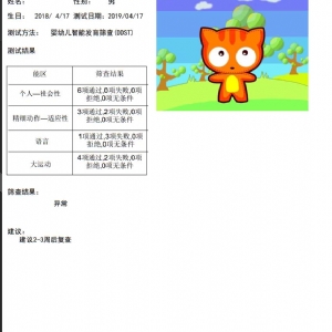 0-6歲兒童發(fā)育篩查法(DDST)丹佛發(fā)育篩查軟件及工具