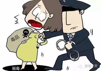 2016年初，涉縣警方查獲一起涉毒案件，鑒于該案涉案人員多、毒品交易量大，涉縣警方立即將案情上報(bào)，被公安部確立為“目標(biāo)-2016-314”號(hào)毒品案件。涉縣警方成立專案組，經(jīng)過(guò)多方追查，先后抓獲團(tuán)伙人員13名，繳獲毒品5349克，并查明上線“濮姐”的真實(shí)身份為陳某。